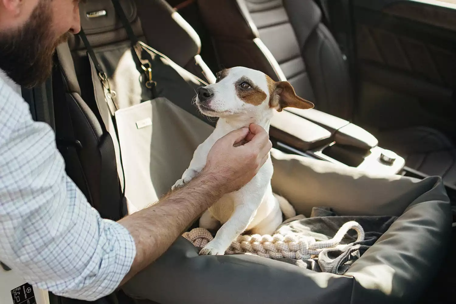 Swedish Vallhunds Dog Car Seat for Nissan Armada