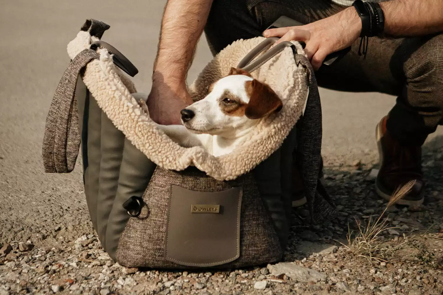 Sealyham Terrier Dog Carrier Car Seat for Lexus RX