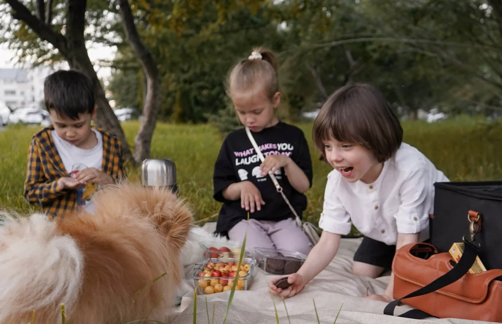 outdoor camping blanket roll